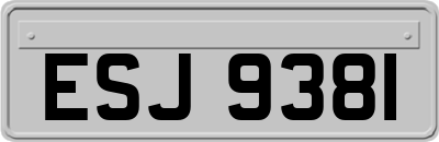 ESJ9381