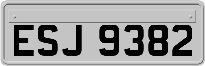 ESJ9382