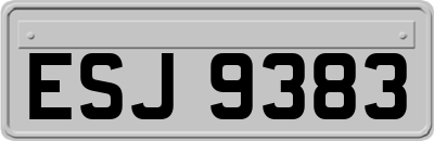 ESJ9383