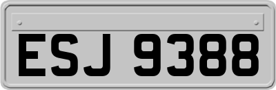 ESJ9388