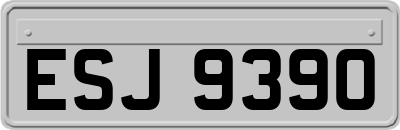 ESJ9390
