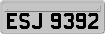 ESJ9392