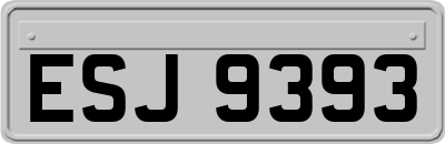 ESJ9393