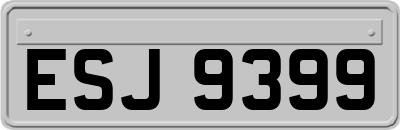 ESJ9399