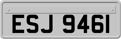 ESJ9461