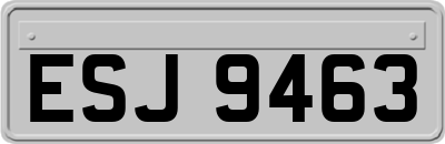 ESJ9463