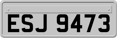 ESJ9473