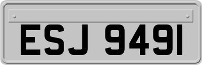 ESJ9491