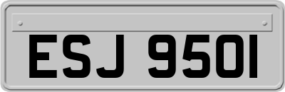 ESJ9501