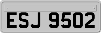ESJ9502