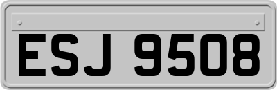 ESJ9508