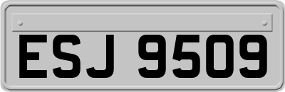 ESJ9509