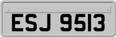 ESJ9513