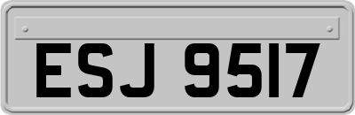 ESJ9517