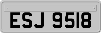 ESJ9518