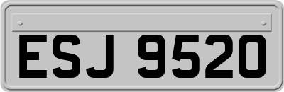 ESJ9520