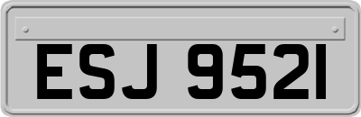 ESJ9521