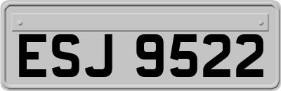 ESJ9522