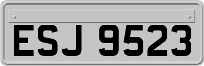 ESJ9523