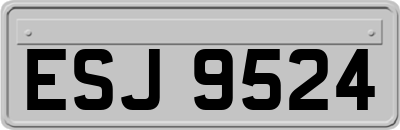 ESJ9524