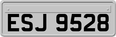 ESJ9528