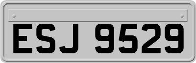 ESJ9529