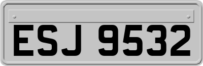 ESJ9532