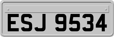 ESJ9534