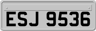 ESJ9536