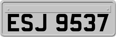 ESJ9537