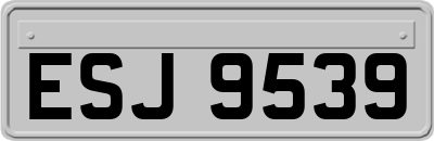 ESJ9539