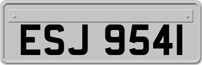 ESJ9541