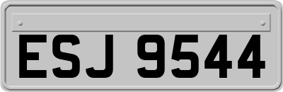 ESJ9544