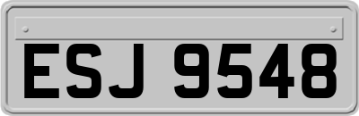 ESJ9548
