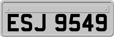 ESJ9549
