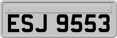 ESJ9553