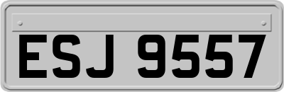 ESJ9557