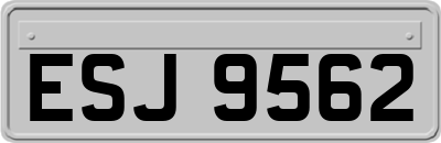 ESJ9562
