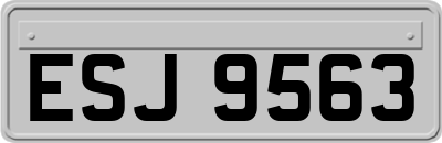 ESJ9563