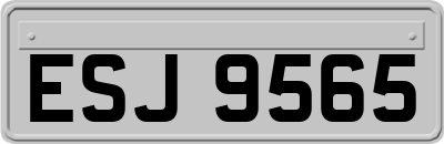 ESJ9565