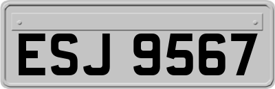 ESJ9567