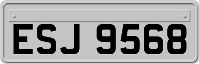 ESJ9568