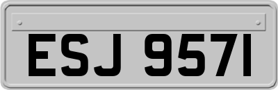 ESJ9571