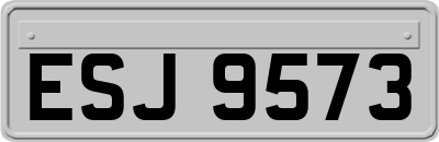 ESJ9573