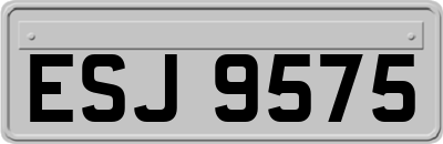ESJ9575