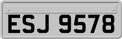 ESJ9578