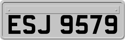 ESJ9579
