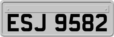 ESJ9582