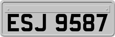 ESJ9587