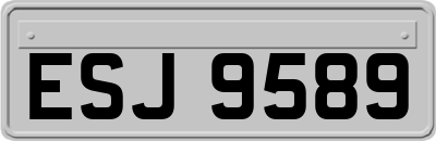 ESJ9589